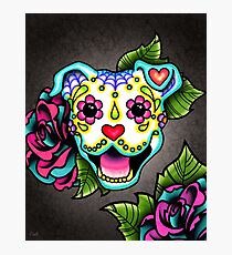 Smiling Pit Bull in White - Day of the Dead Pitbull - Sugar Skull Dog Photographic Print