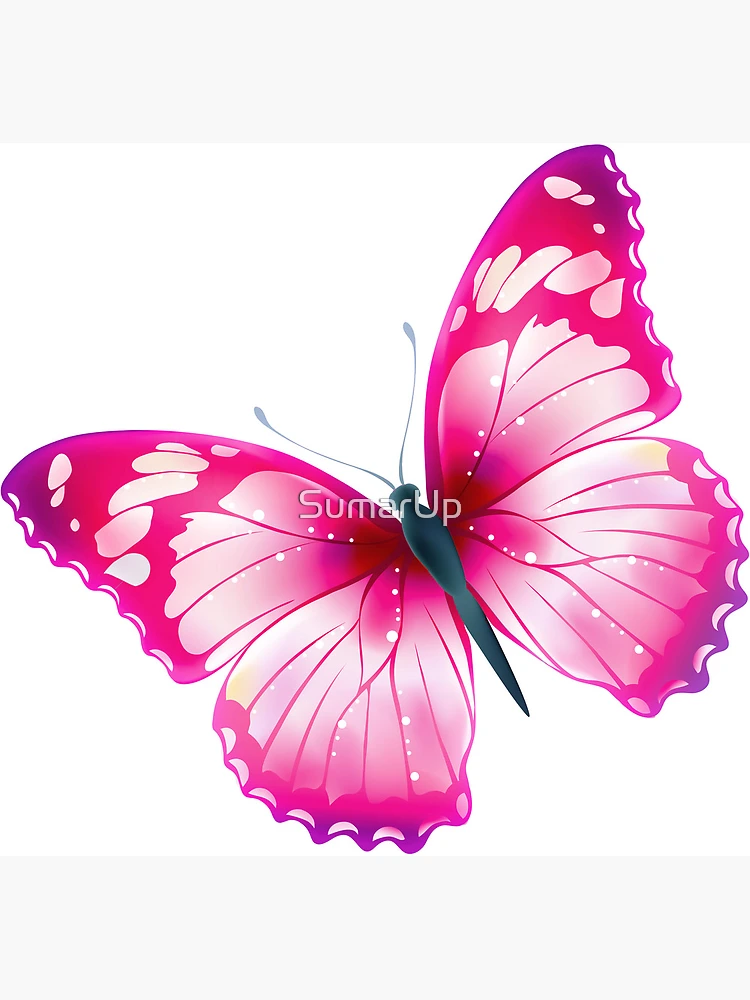 DIY Dog Panties  Creative Pink Butterfly