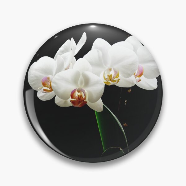 Item preview, White Orchid Fine Art Photography designed and sold by CarolinaReina.