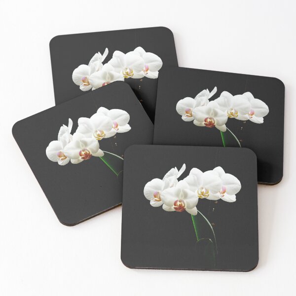 Item preview, White Orchid Fine Art Photography designed and sold by CarolinaReina.