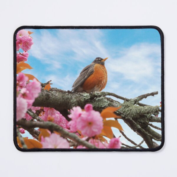 Item preview, Animal - Bird - First robin of spring designed and sold by Mike Savad Photography.