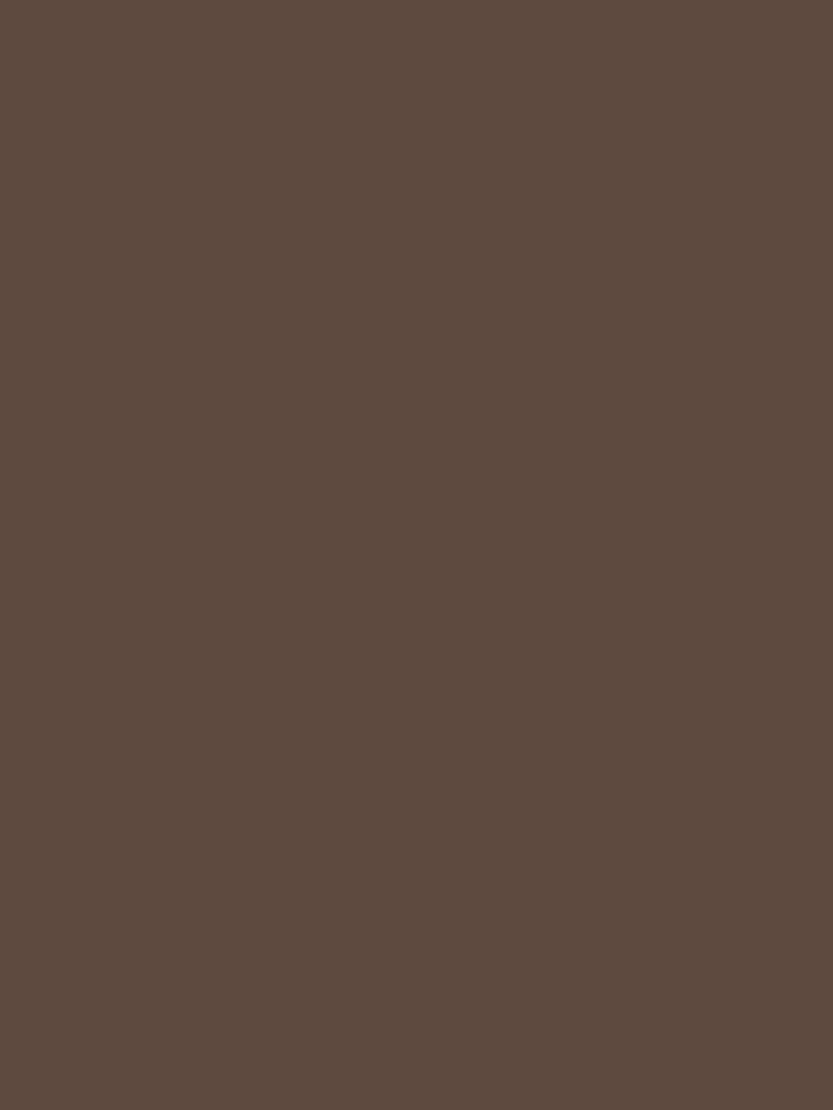 Kid's Tint - Rich and Saturated Brown Color Palette • This