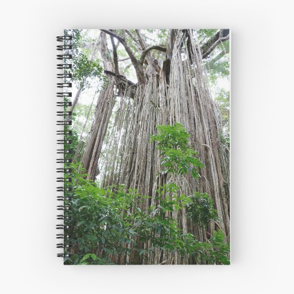 Item preview, Yungaburra Fig Tree designed and sold by Robyn Williams.
