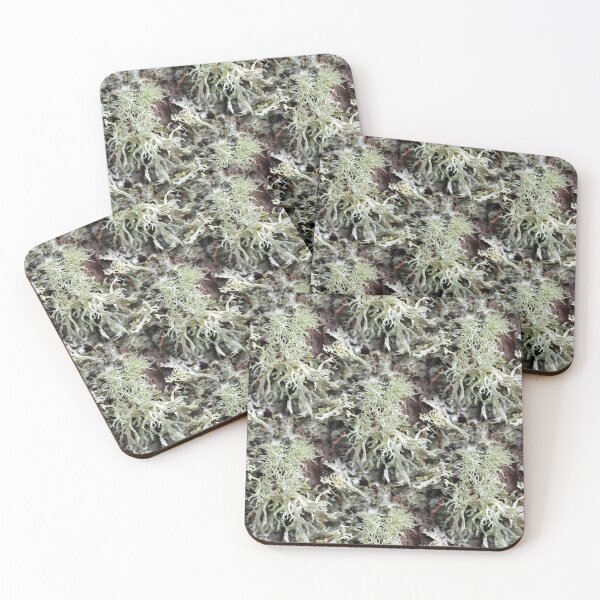 Item preview, Evernia Prunastri and Friends (pattern) designed and sold by Yampimon.