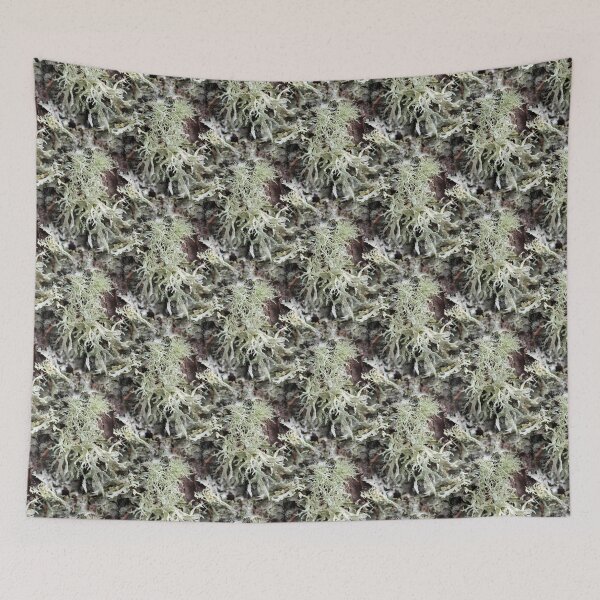 Item preview, Evernia Prunastri and Friends (pattern) designed and sold by Yampimon.