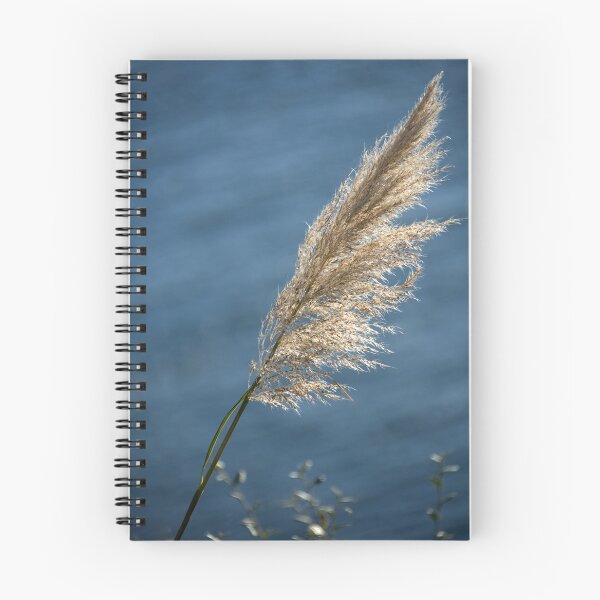 Item preview, Tall grass seed head designed and sold by days-photographic.