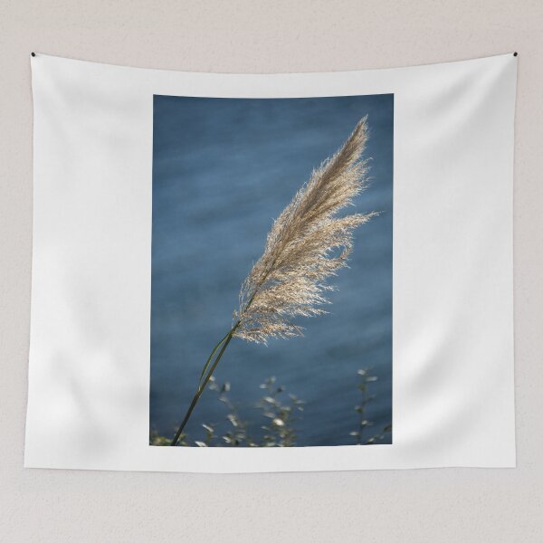 Item preview, Tall grass seed head designed and sold by days-photographic.