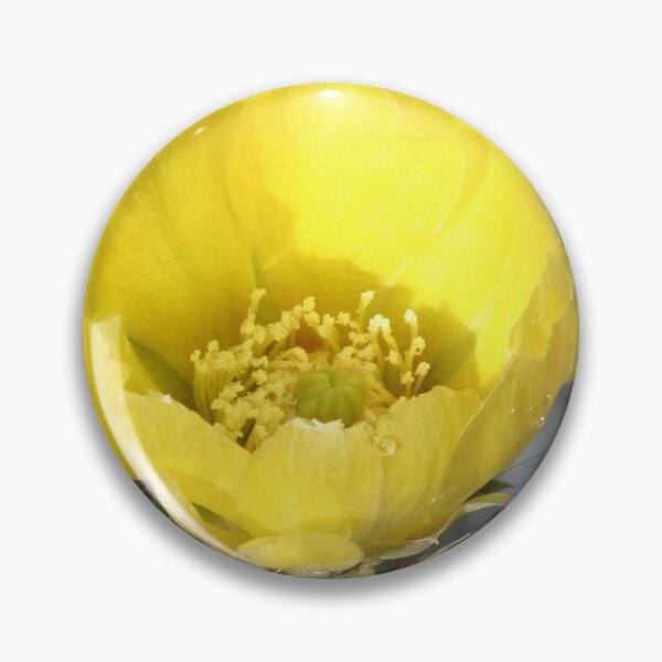 Item preview, Opuntia Ficus-Indica (Flower of the Prickly Pear) designed and sold by taiche.