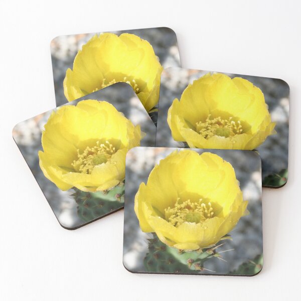 Item preview, Opuntia Ficus-Indica (Flower of the Prickly Pear) designed and sold by taiche.