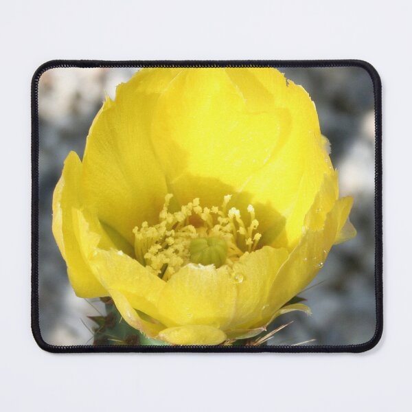Item preview, Opuntia Ficus-Indica (Flower of the Prickly Pear) designed and sold by taiche.