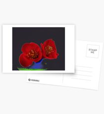FLOWER Postcards