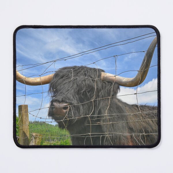 Item preview, Hamish Duh  designed and sold by MY Scotland.