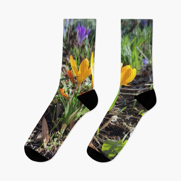 Item preview, crocus group designed and sold by Gourmetkater.