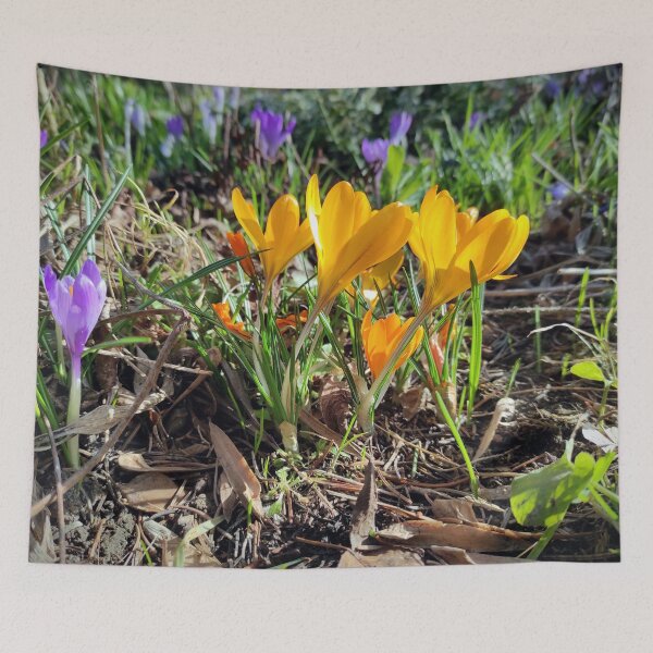 Item preview, crocus group designed and sold by Gourmetkater.