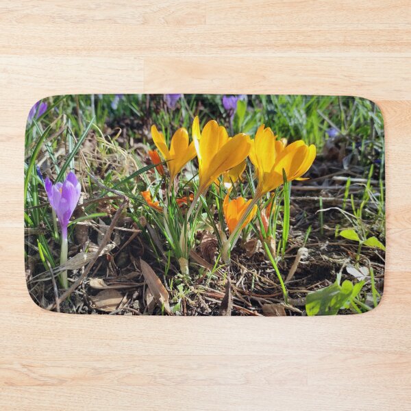 Item preview, crocus group designed and sold by Gourmetkater.