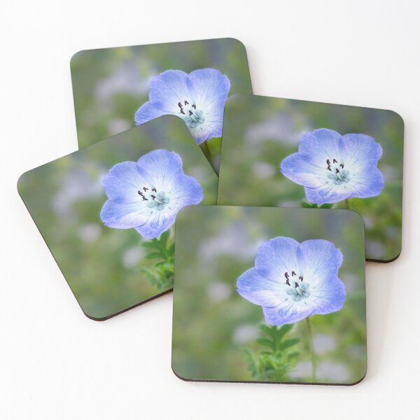 Item preview, Baby blue eyes (Nemophila menziesii) designed and sold by Art in Nature.