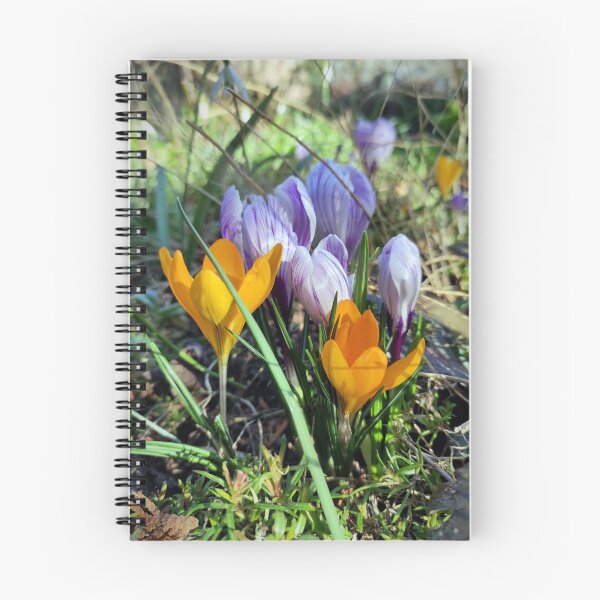 Item preview, Crocuses in yellow and blue designed and sold by Gourmetkater.