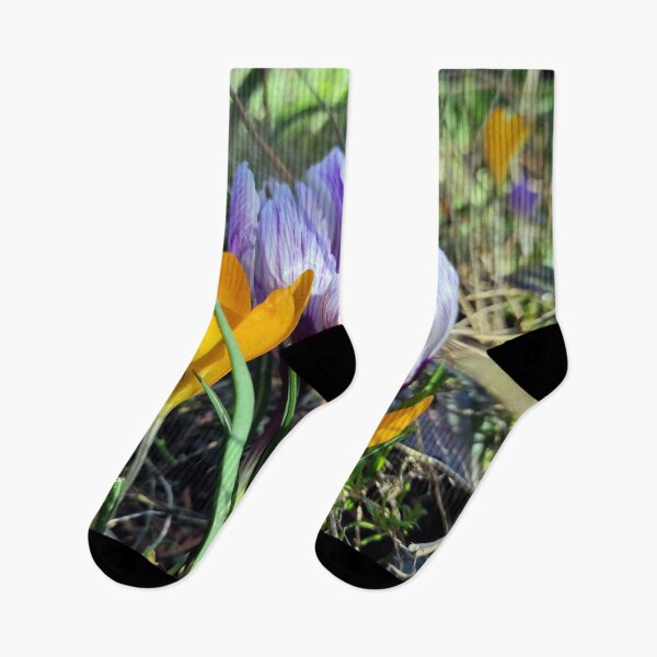 Item preview, Crocuses in yellow and blue designed and sold by Gourmetkater.