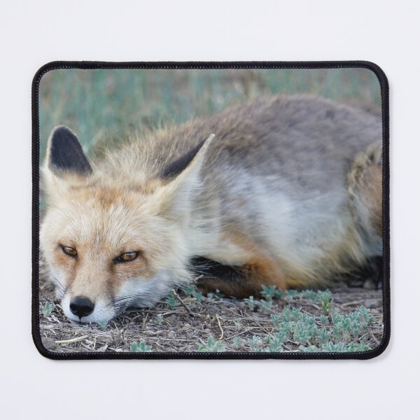 Item preview, Fox designed and sold by Betsy Seeton.