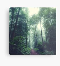 Forest Path Metal Print