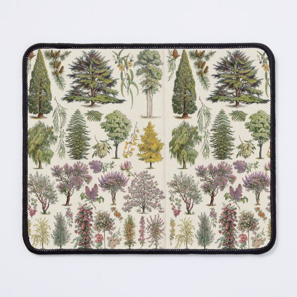 Item preview, Jardins (Arbres D'Ornement) 1 Vintage French Illustration - Ornamental Trees by Millot designed and sold by molamode.