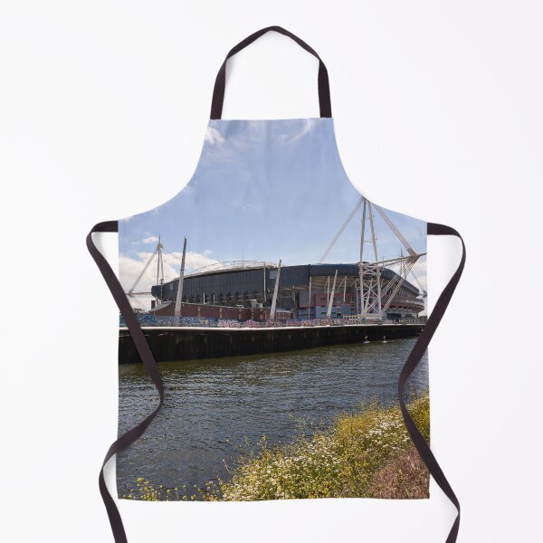 Item preview, The Principality Stadium, Cardiff designed and sold by VnGphoto.