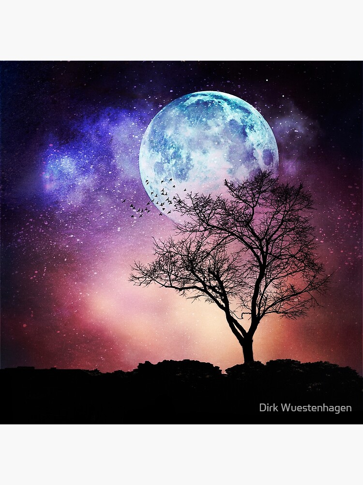 night moon sky and tree