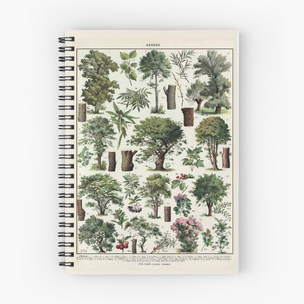 Item preview, Jardins (Arbres D'Ornement) 2 Vintage French Illustration - Adolphe Millot Ornamental Trees  designed and sold by molamode.