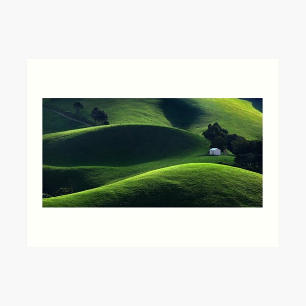 1520 Light and Shade - Gippsland Art Print