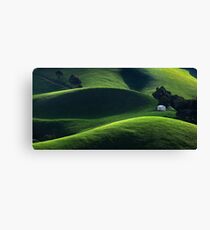 1520 Light and Shade - Gippsland Canvas Print