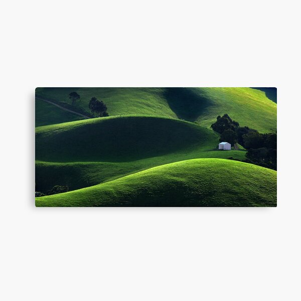 1520 Light and Shade - Gippsland Canvas Print