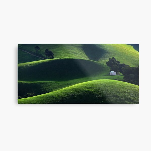 1520 Light and Shade - Gippsland Metal Print