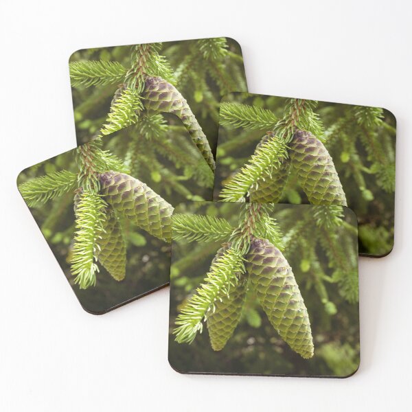 Item preview, Green pinecones still in the tree designed and sold by TheNinthMemory.