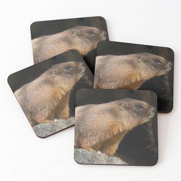 Item preview, Marmot designed and sold by Betsy Seeton.