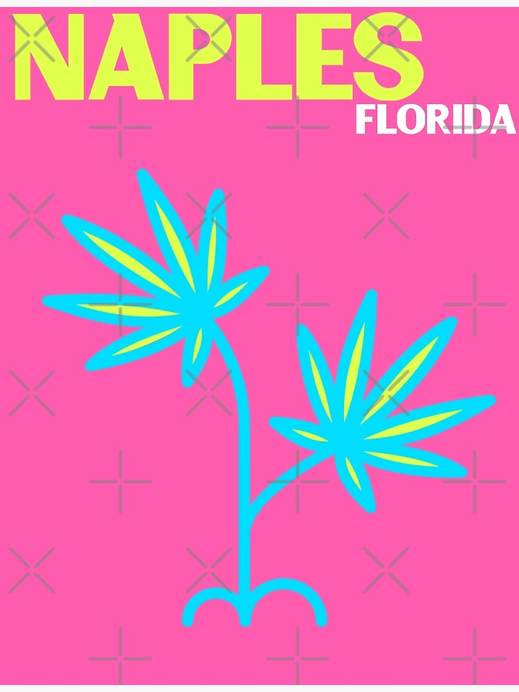 "NAPLES FLORIDA" Poster for Sale by juliasantos5 Redbubble