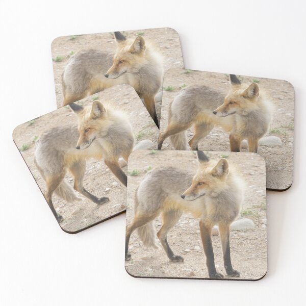 Item preview, Fox designed and sold by Betsy Seeton.