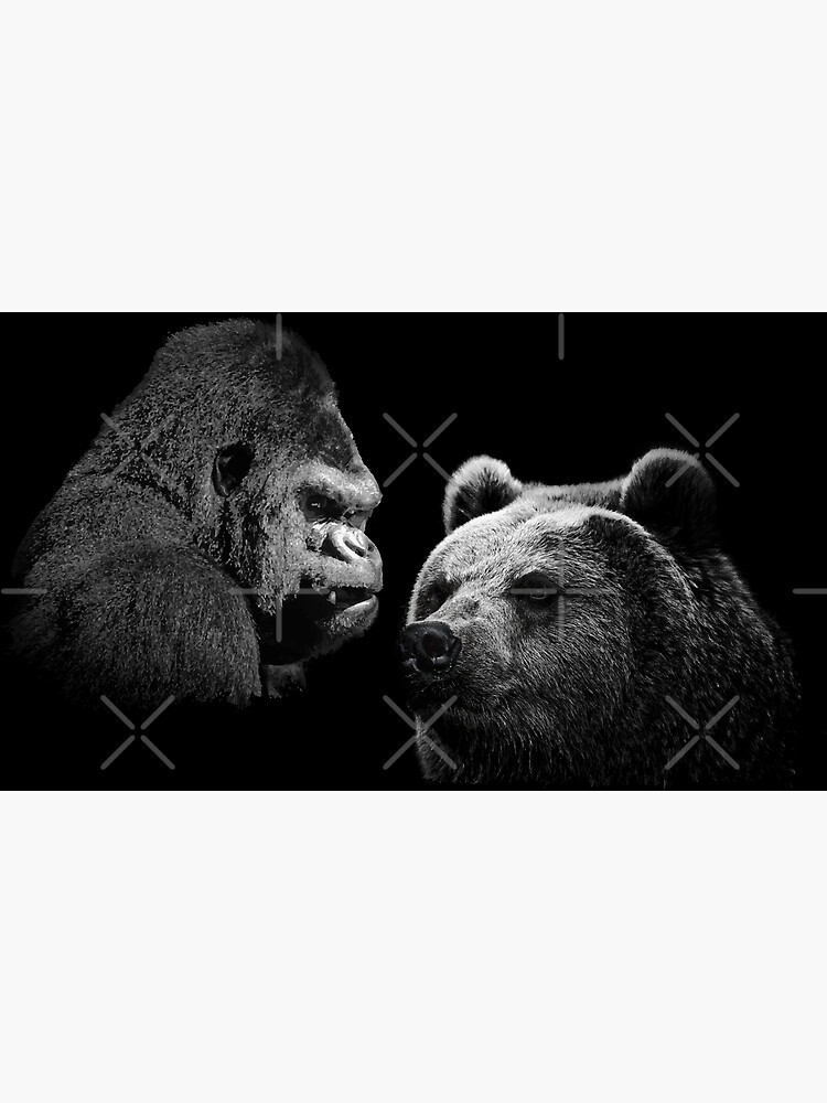 bear vs gorilla