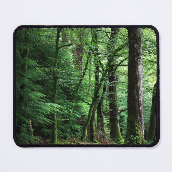 Item preview, Into the Woods designed and sold by Tina  Townhill.