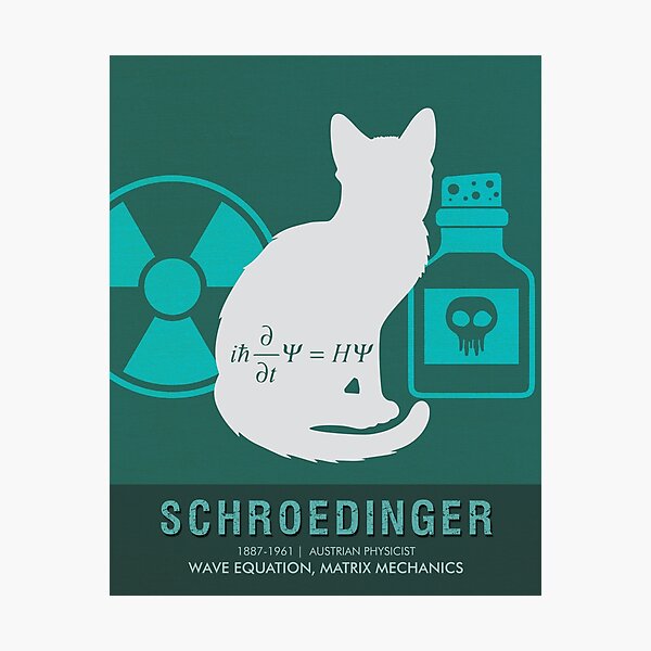 Artikel-Vorschau von Wissenschaft Poster - Erwin Schrödinger - Physiker, designt und verkauft von Studio Grafiikka.