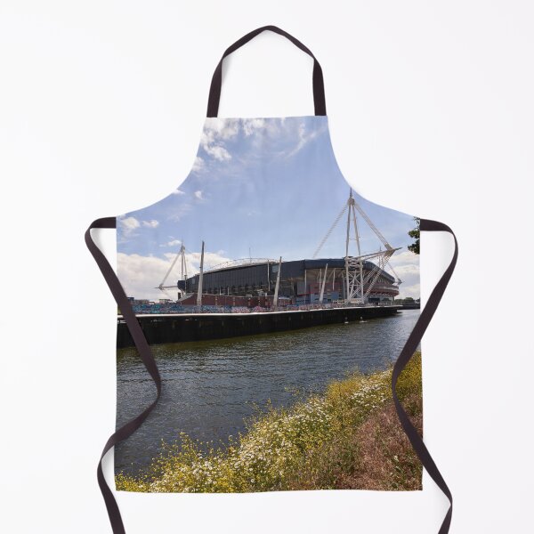 Item preview, The Principality Stadium, Cardiff designed and sold by VnGphoto.