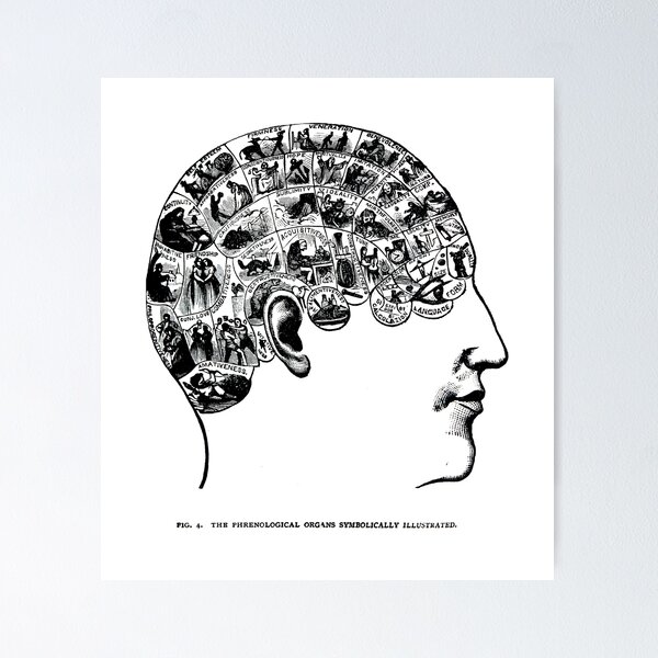 Item preview,  phrenological organs symbolically - gift idea designed and sold by mappendant.