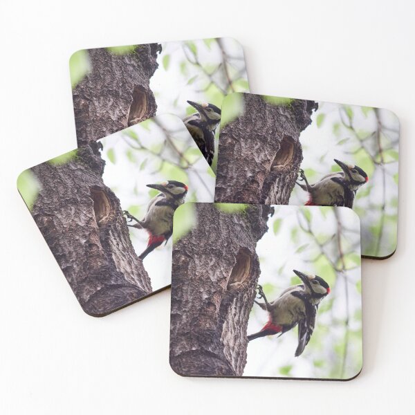 Item preview, Busy arrivals. Great spotted woodpecker designed and sold by Jouko Lehto Photography.