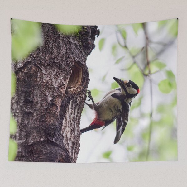 Item preview, Busy arrivals. Great spotted woodpecker designed and sold by Jouko Lehto Photography.