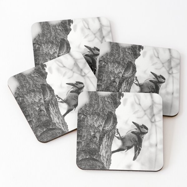 Item preview, Busy arrivals. Great spotted woodpecker bw designed and sold by Jouko Lehto Photography.
