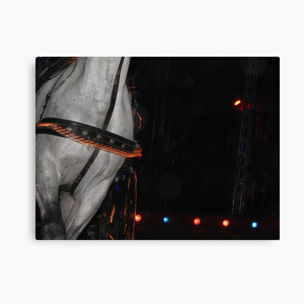 Item preview, CIRCUSE HORSE TRAINING  designed and sold by SofiaYoushi.