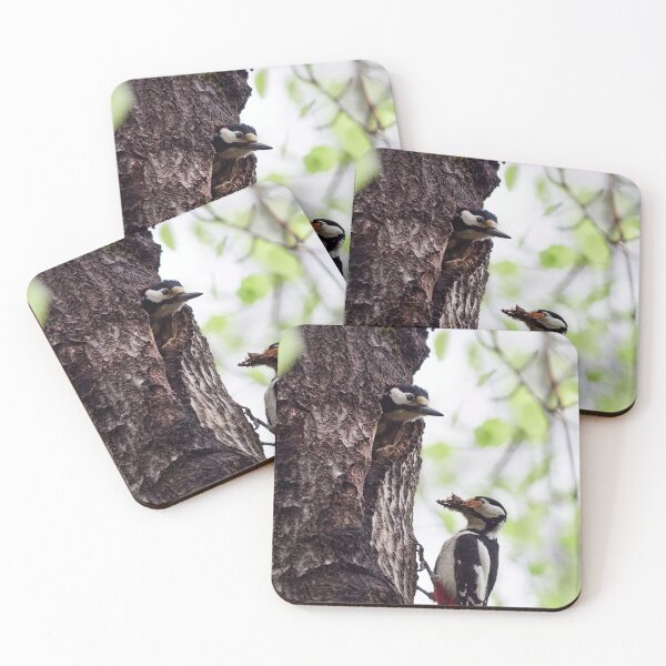 Item preview, Early summer activities. Great spotted woodpecker designed and sold by Jouko Lehto Photography.