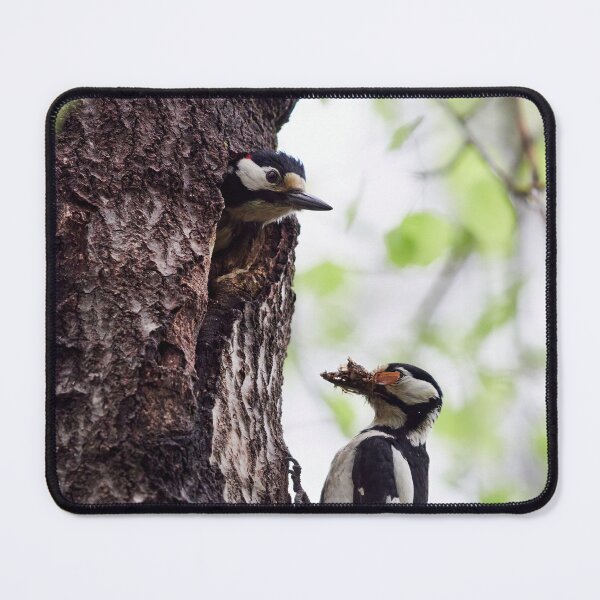 Item preview, Early summer activities. Great spotted woodpecker designed and sold by Jouko Lehto Photography.