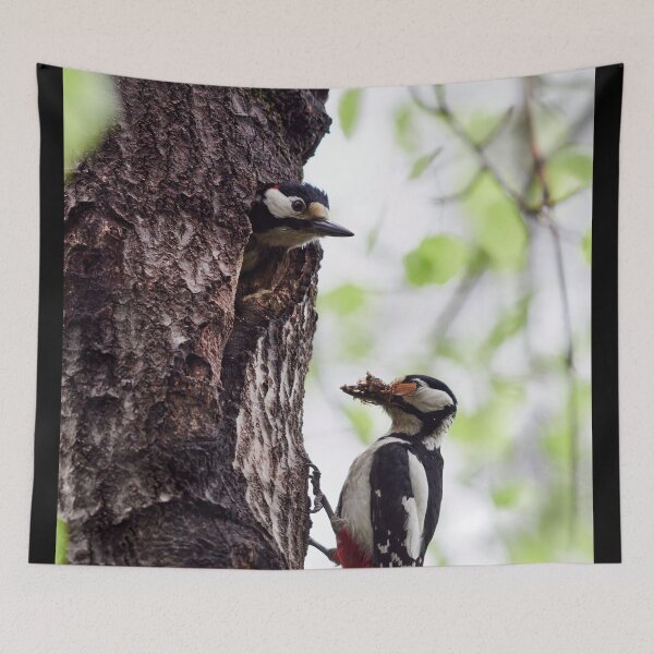 Item preview, Early summer activities. Great spotted woodpecker designed and sold by Jouko Lehto Photography.