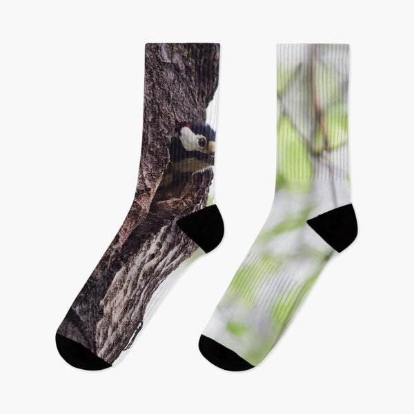 Item preview, Early summer activities. Great spotted woodpecker designed and sold by Jouko Lehto Photography.