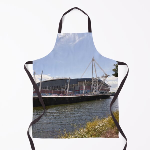 Item preview, The Principality Stadium, Cardiff, Wales, UK designed and sold by VnGphoto.